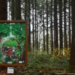 Sprookjesbos interactieve wandeling