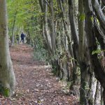 Randonnée à Redu