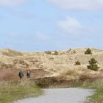 Les dunes de l'île de Texel