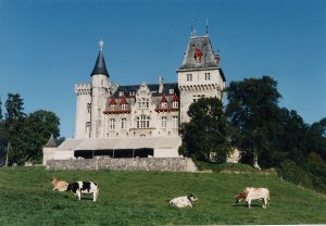Radhadesh Château de Petite Somme