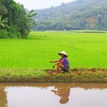 Scène de vie dans le centre Vietnam