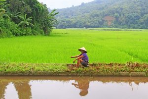 Scène de vie dans le centre Vietnam