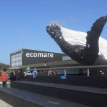 Ecomare, le centre océanographique de Texel