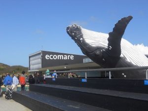 Ecomare, le centre océanographique de Texel