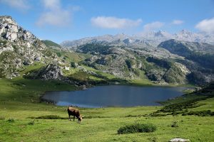 Les montagnes des Asturies