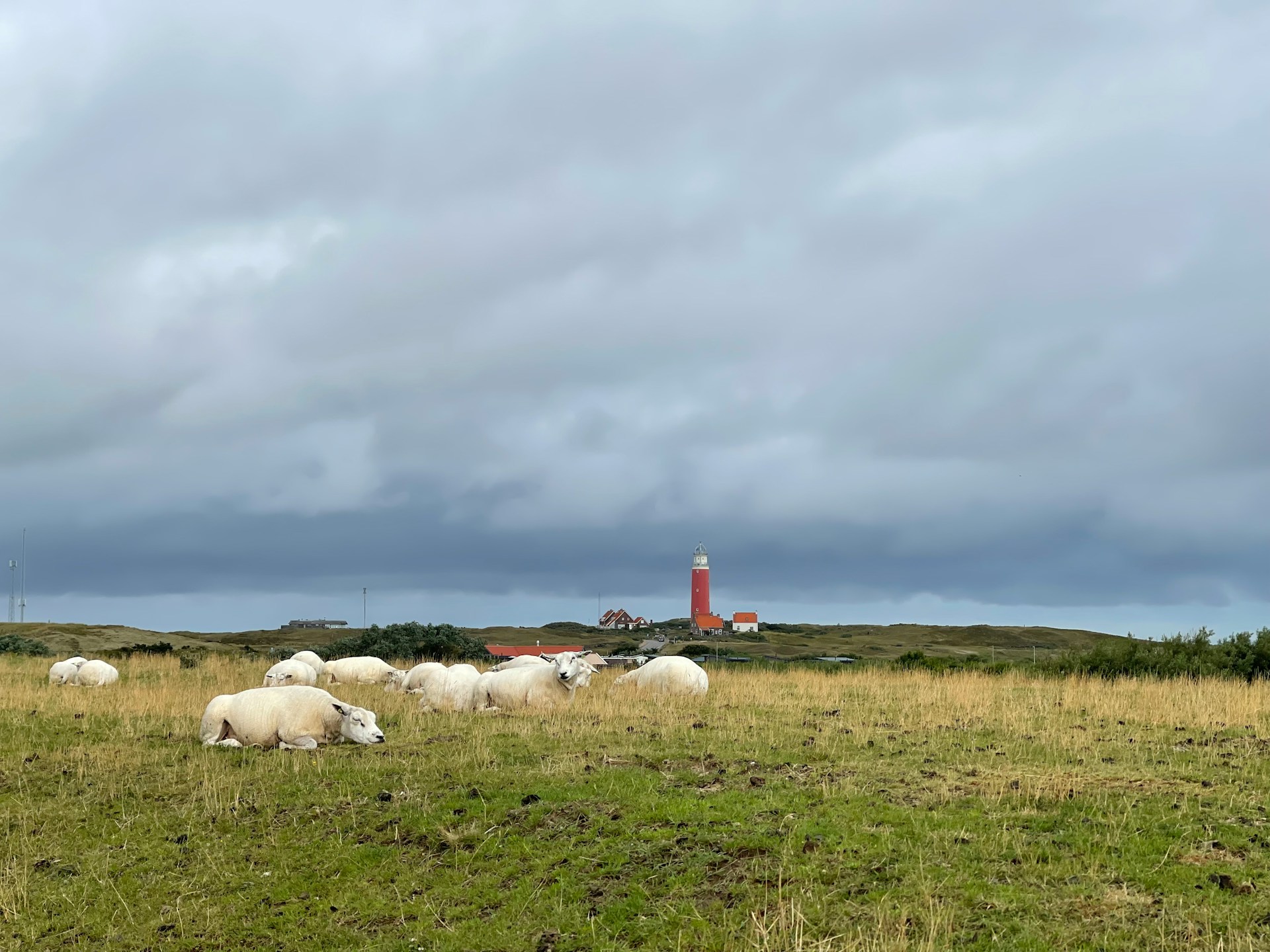 texel