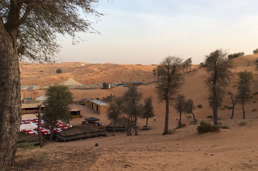 L'oasis des bédouins, une escapade dans le désert pour une soirée magique et traditionnelle