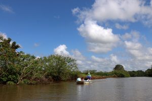 Le rio Frio à l'extrême-nord costaricien