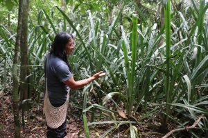 La communauté des Malekus