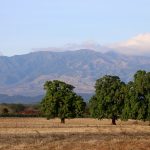 Het nationaal park van Rincón de la Vieja