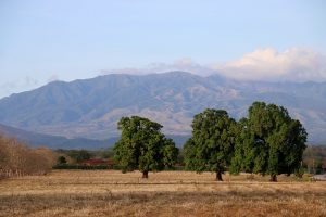 Le parc national du Rincón de la Vieja
