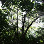 In het Rincón de la Vieja Volcano National Park