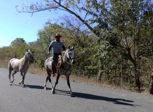 Saboneros, de lokale tegenhangers van de cowboys