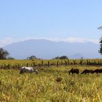 Uitzicht op het Rincon de la Vieja-massief