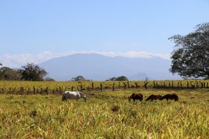 Uitzicht op het Rincon de la Vieja-massief