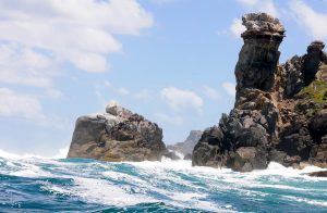 L'horizon du Cap