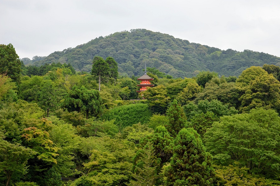 Tempels verspreid in de heuvels van Kyoto