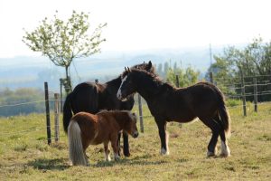 Een van de wandelroutes