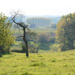 Promenade sur la 'Greenspots'