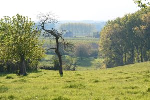 Promenade sur la 'Greenspots'