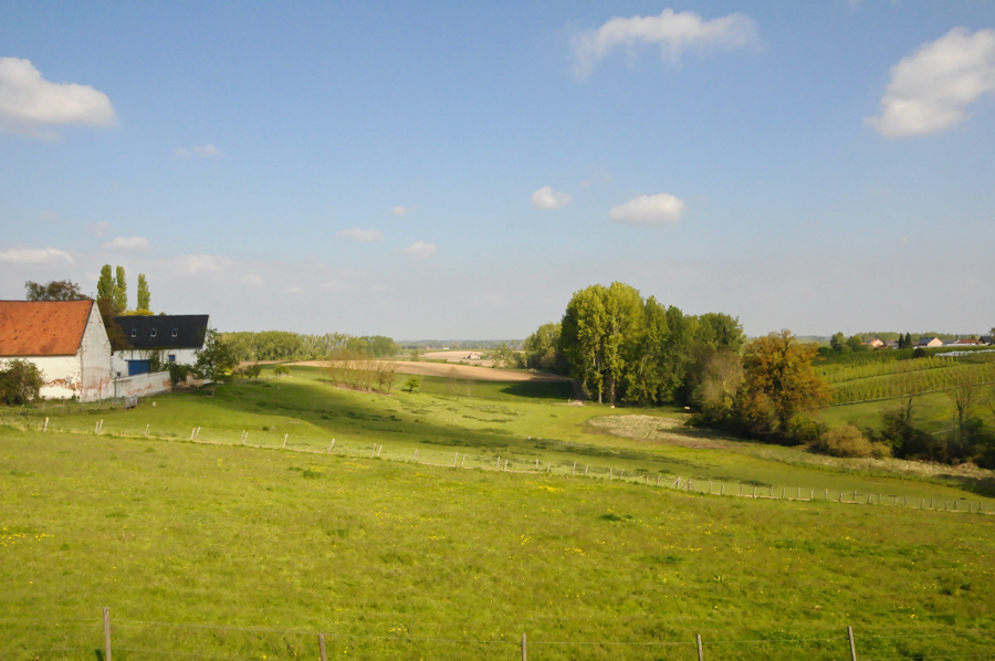 Greenspots wandelingen