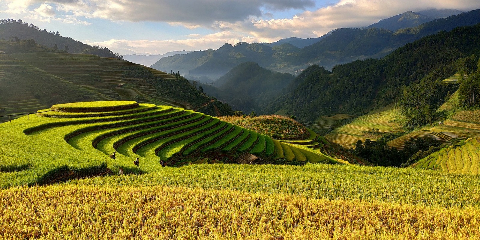 Splendeurs du Vietnam: Instantanés de la vie quotidienne