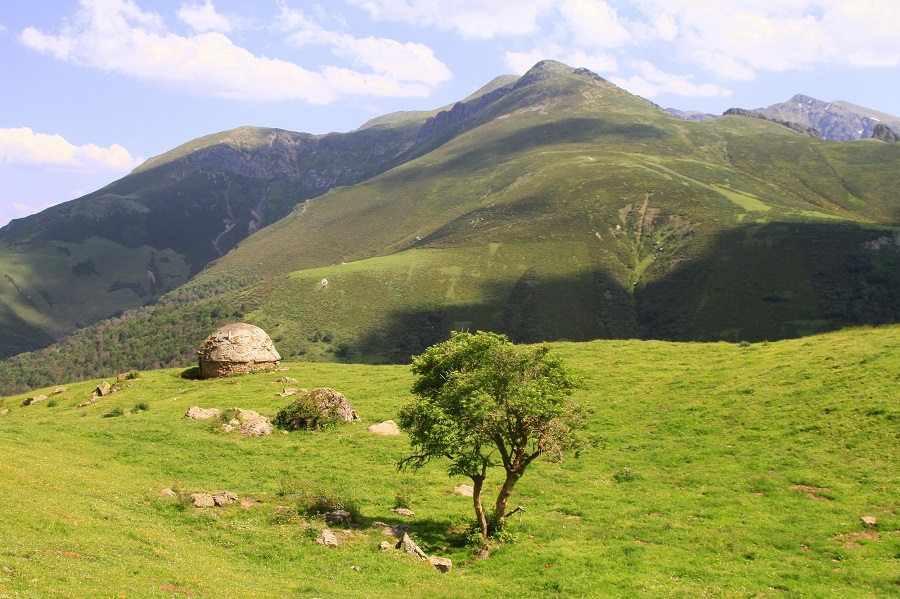 Picos