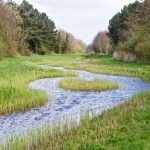Paysage intérieur de l'ïle de Texel
