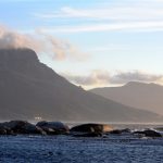 Vue sur le Tafelberg (la Montagne de la Table)