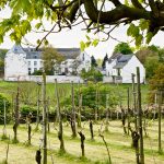 Le domaine viticole Cohlenberg