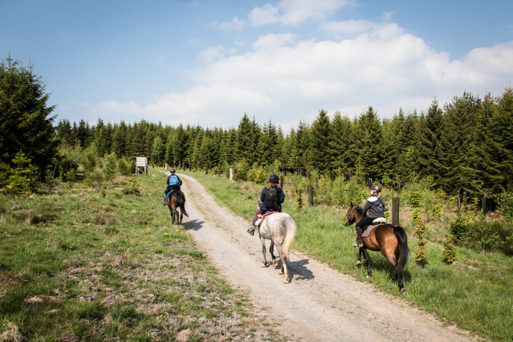 L’hiver en Wallonie : une escapade à cheval, ça vous dit ?