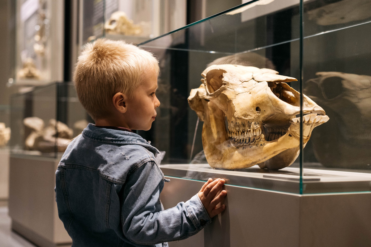 Lente in Wallonië : niet te missen tentoonstellingen 