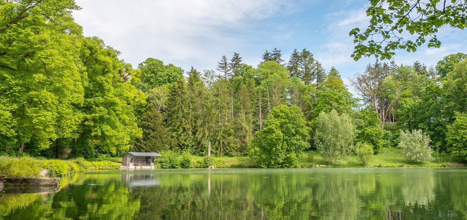 Pak je koffers om er een weekend (volledig) tussenuit te zijn, in het bos van Ermenonville!