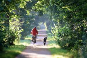 3 hôtels pour un citytrip à vélo : découvrez la Wallonie comme jamais auparavant !