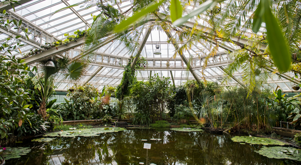 Plantentuin Meise: inhuldiging van twee nieuwe serres!