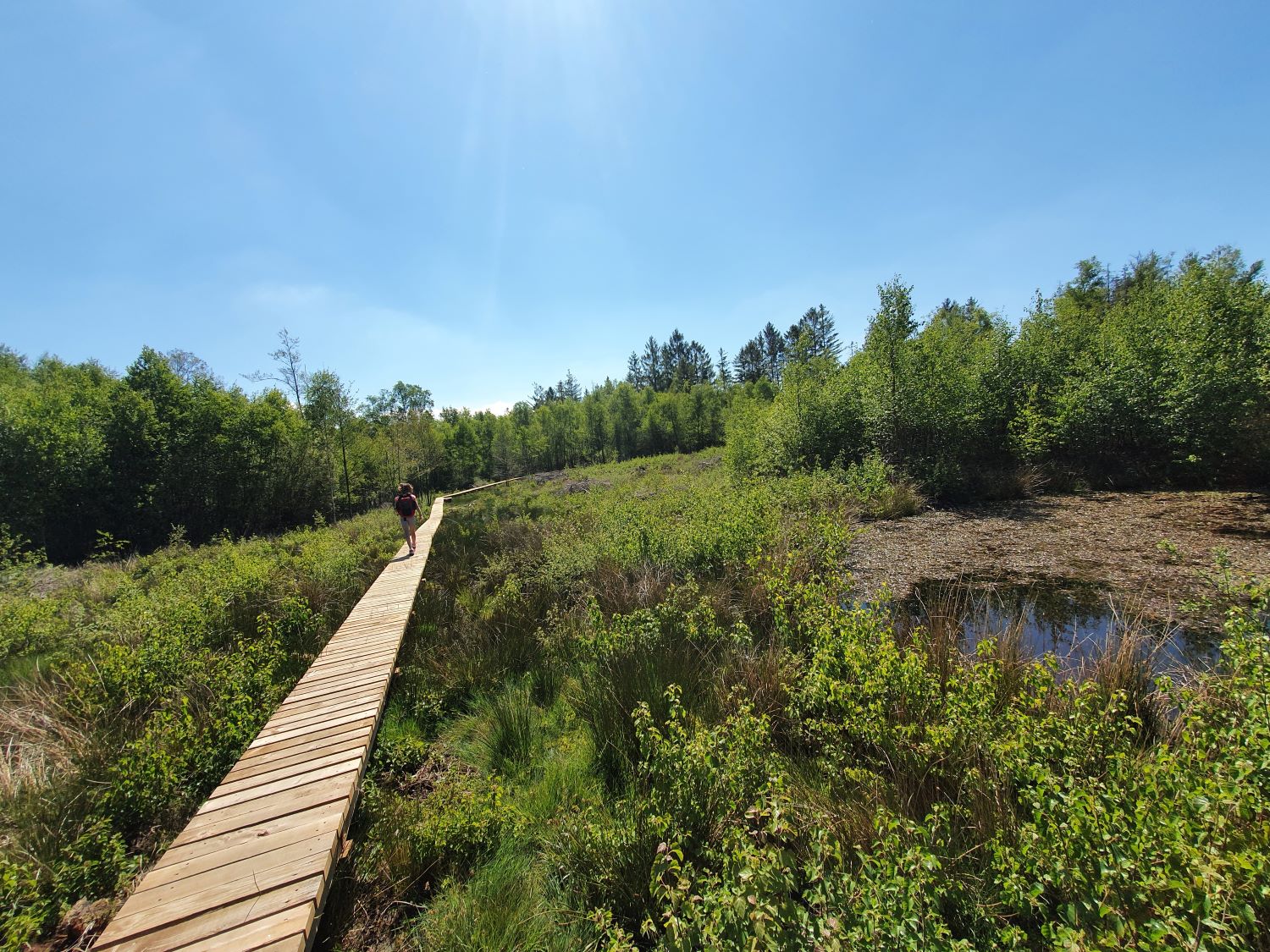 Réseau trail Haute Ardenne, paden om te wandelen en te lopen, maar meer dan dat!