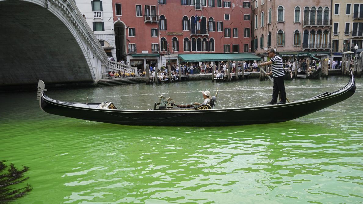 Venise : quand le grand canal vire au vert (ou le Mardi Gras en avance)