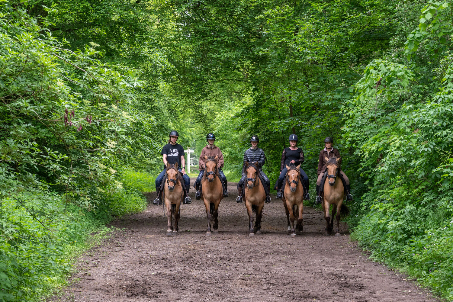 Onverwachte pareltjes: de zomerse magie van de natuur in de Oise
