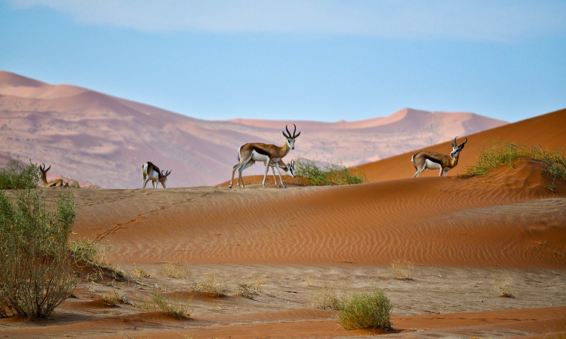 TOP 10 des voyages à faire avant de mourir