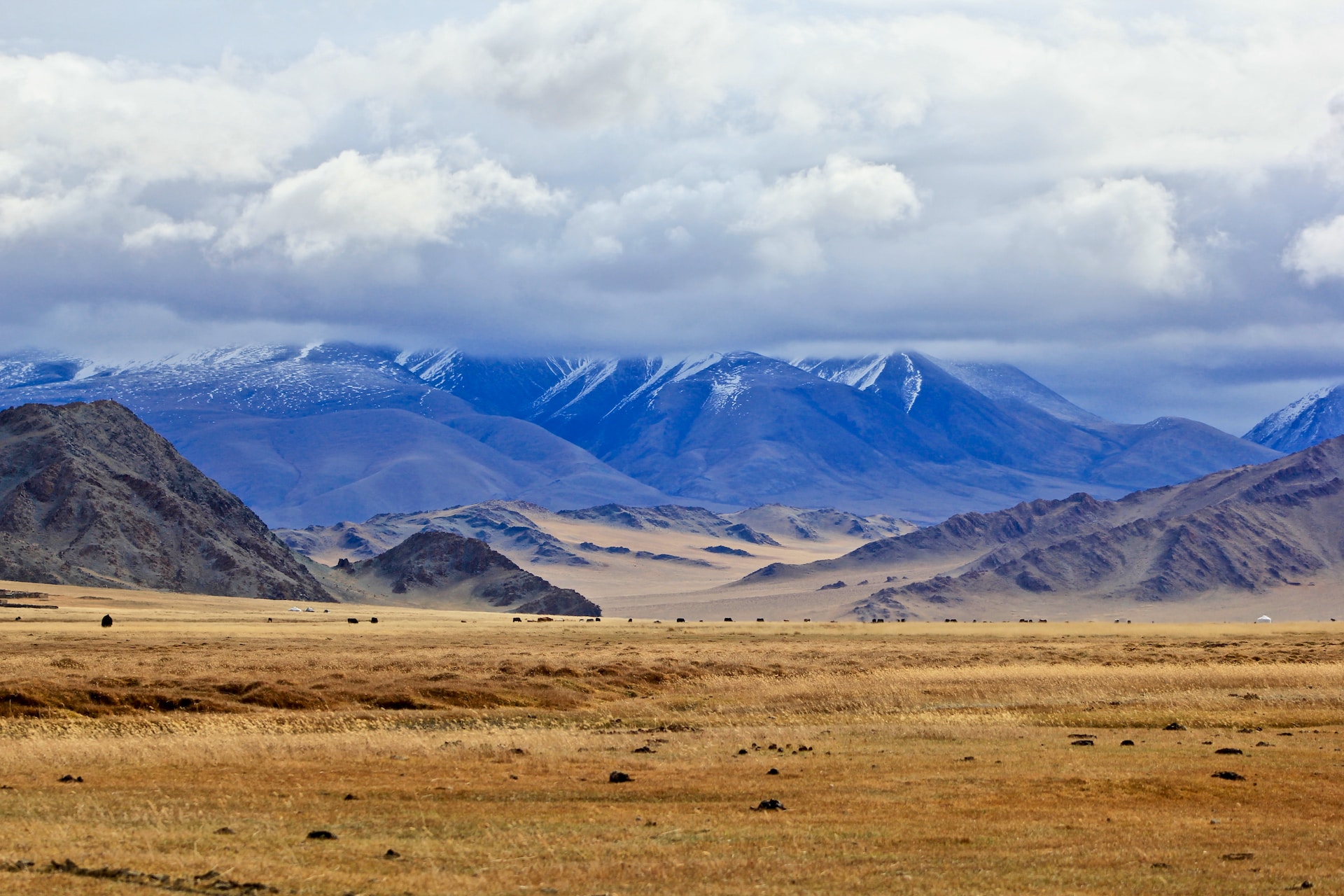 Mongolia