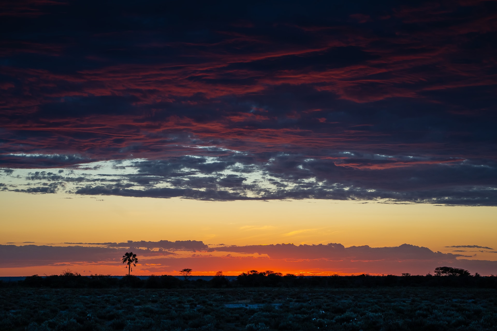 Etosha Park