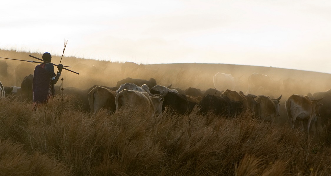 Tanzania: ‘Into the wild’ Een safari met epische proporties