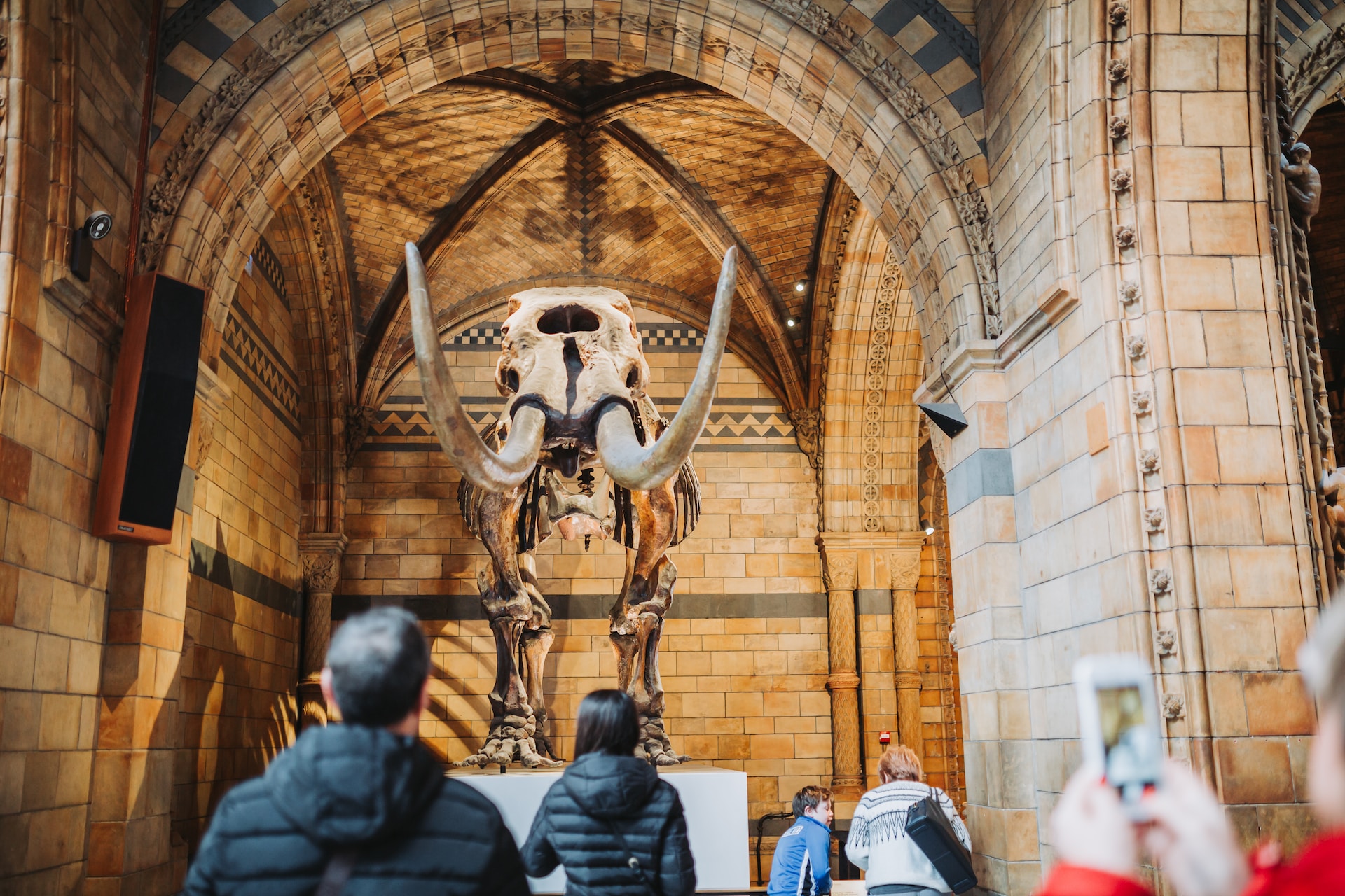 Natural History Museum