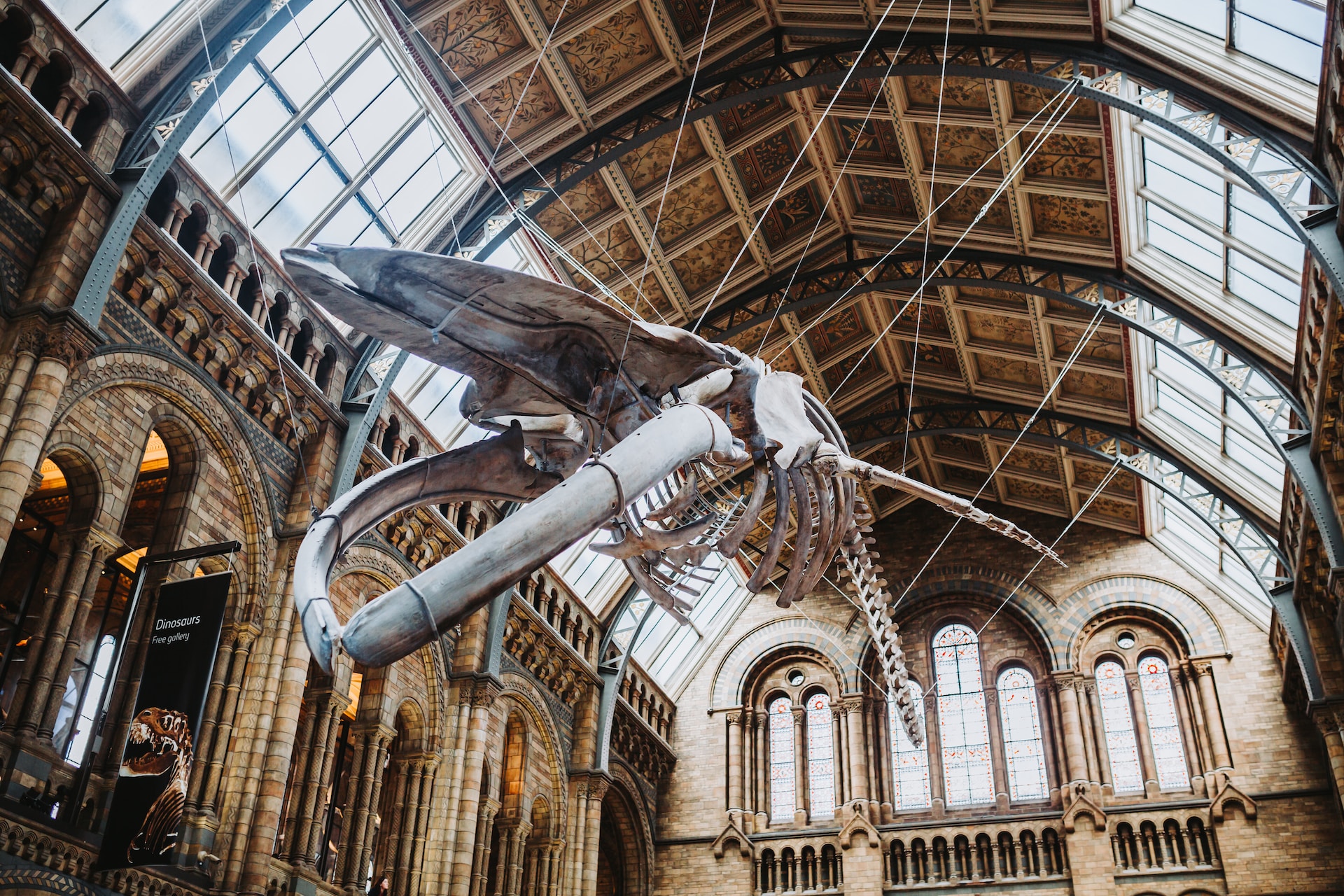 Natural History Museum