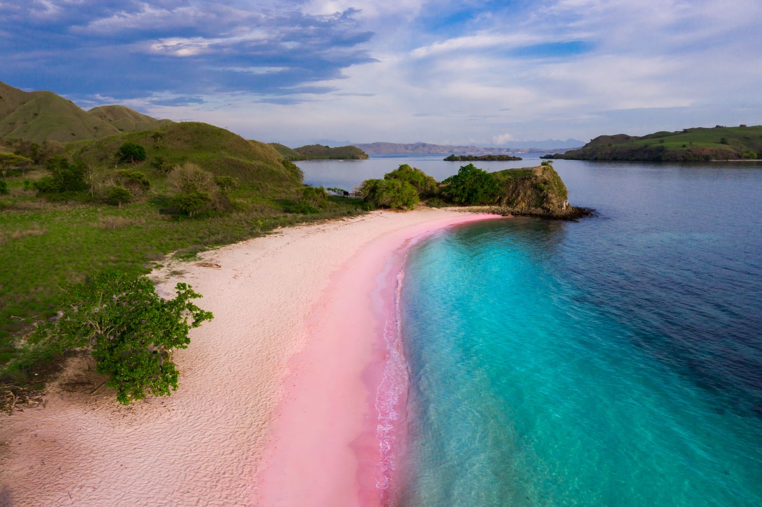 Natuurwonder: roze zandstranden