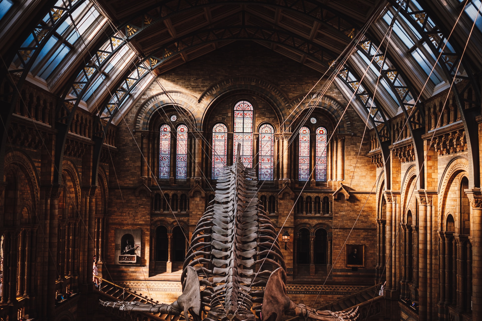 Droom je ervan om een nacht door te brengen met dinosaurussen?