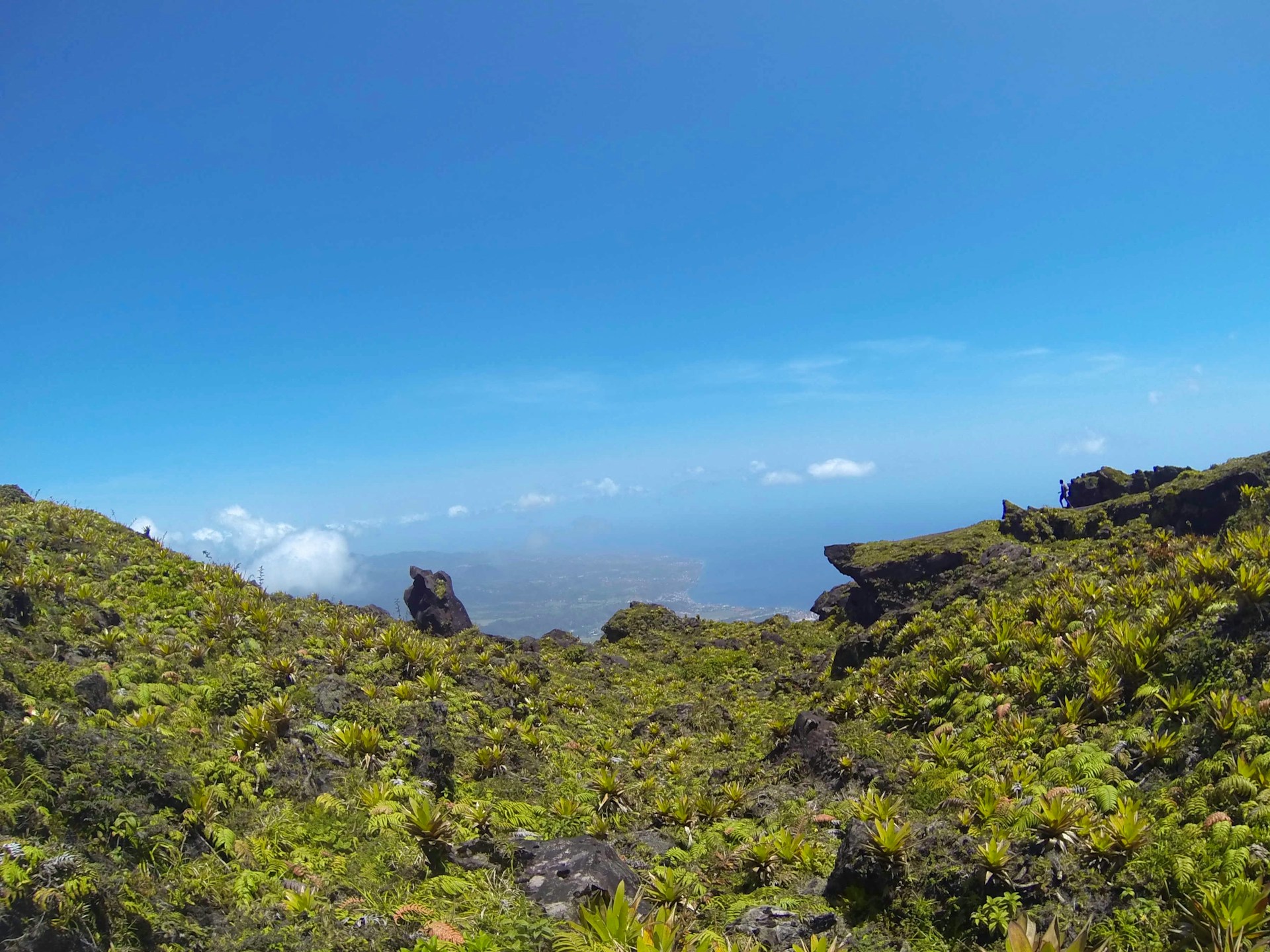 mount pelée