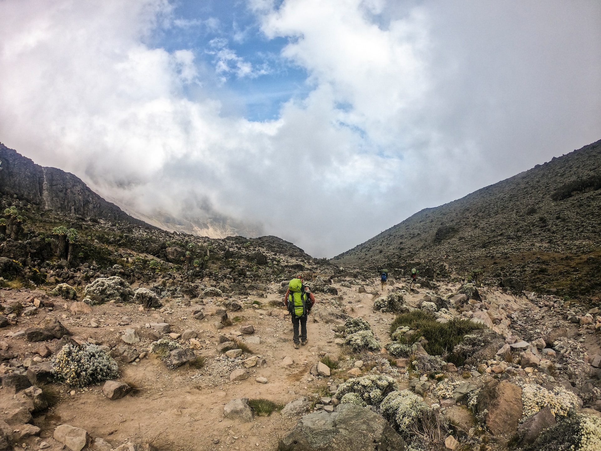 kilimandjaro