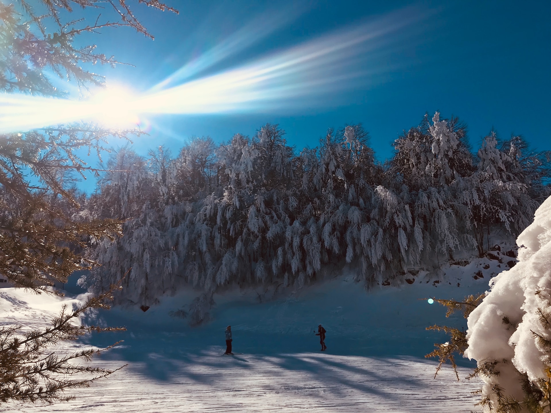 snow turkiye