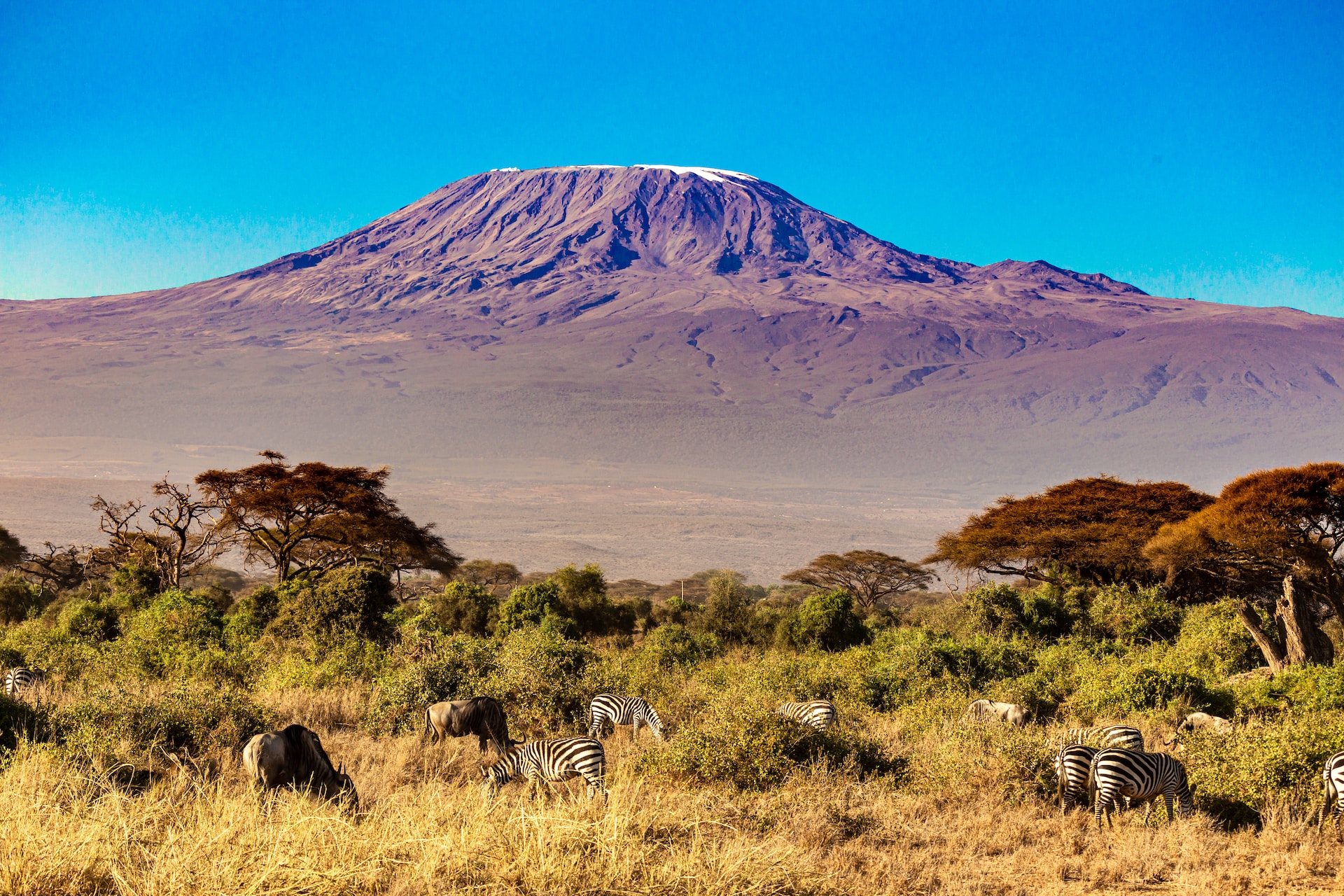De 5 geheimen van de Kilimanjaro, de reus van Afrika